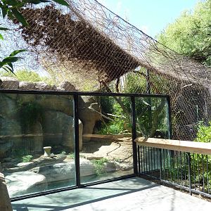 Jaguar Exhibit