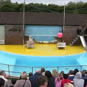 Sea Lion Show - 26.07.2011