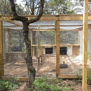Asian Black Bear exhibit