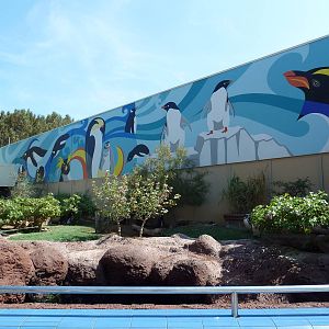 Penguin Encounter - Magellanic Penguin Exhibit