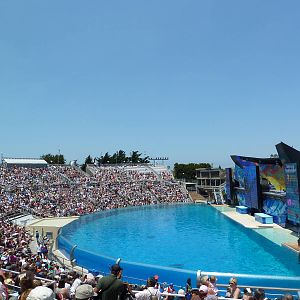 Shamu Stadium