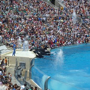 Shamu Stadium