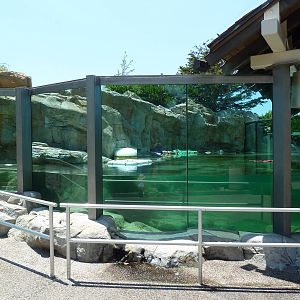 Rocky Point Preserve - Sea Otter Exhibit
