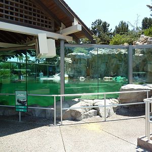 Rocky Point Preserve - Sea Otter Exhibit