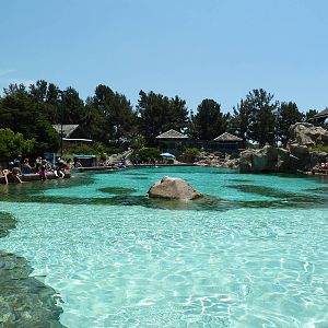Rocky Point Preserve - Dolphin Exhibit