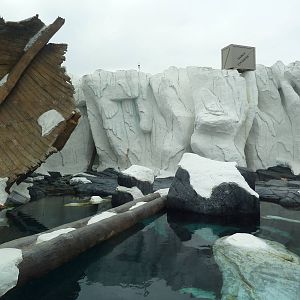Wild Arctic - Polar Bear Exhibit