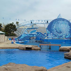 Dolphin Stadium - Holding Pools