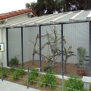 Yellow-Crested Cockatoo/Goffin's Cockatoo Exhibit