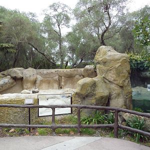 Small-Clawed Otter Exhibit