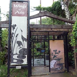 Wings Of Asia - Walk-Through Aviary