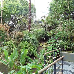 Wings Of Asia - Walk-Through Aviary