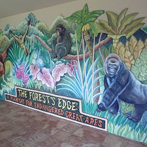 Gorilla Exhibit - Ape Mural