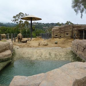 Asian Elephant Exhibit