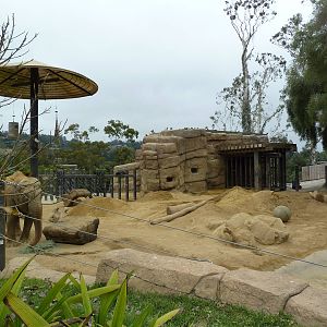Asian Elephant Exhibit