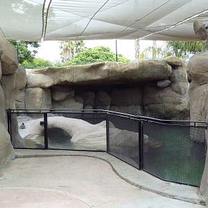 Humboldt Penguin Exhibit