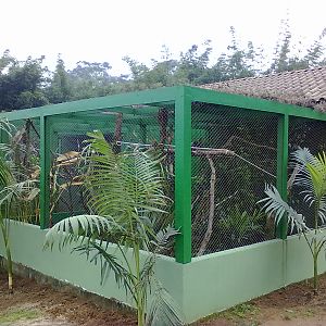 IBRACNA - Callitrichid´s