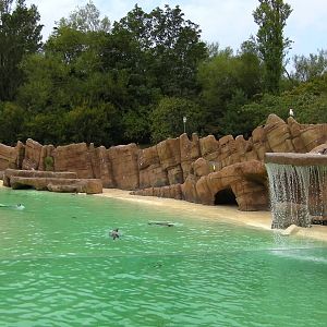 Sea Lion Pool - 26.08.2011