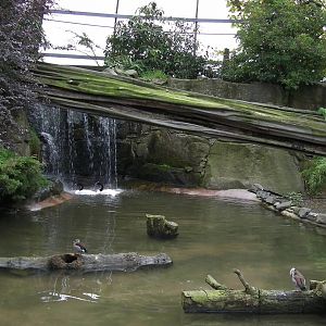 Amazonia Exhibit - 26.08.2011