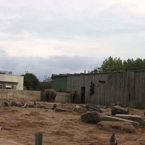 Elephant Enclosure - 26.08.2011