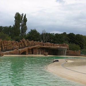 Sea Lion Pool - 26.08.2011