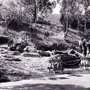 Los Angeles Zoo Flamingo Exhibit