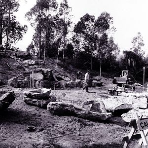 Los Angeles Zoo Flamingo Exhibit