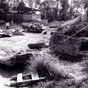 Los Angeles Zoo Flamingo Exhibit