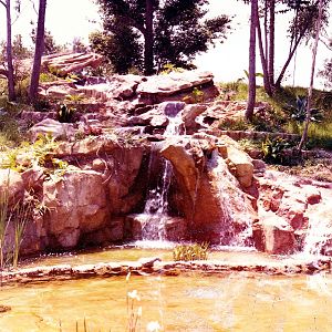 Los Angeles Zoo Flamingo Exhibit