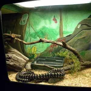 Reptile House/Nocturnal House