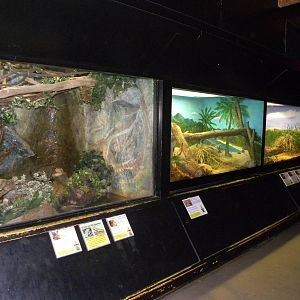 Reptile House/Nocturnal House