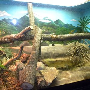 Reptile House/Nocturnal House