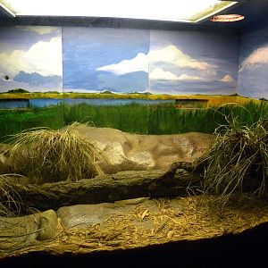 Reptile House/Nocturnal House