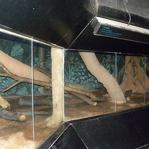 Reptile House/Nocturnal House