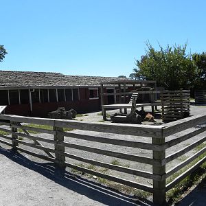 Children's Farm