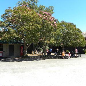Children's Farm