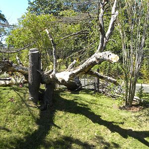 Virginia Zoo and Aquarium 049