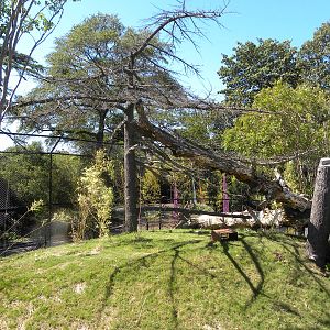 Virginia Zoo and Aquarium 052