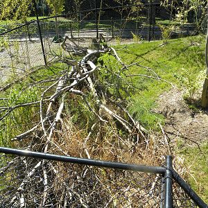 Virginia Zoo and Aquarium 054