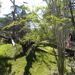 Virginia Zoo and Aquarium 056