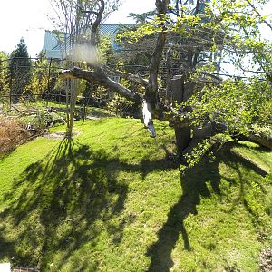 Virginia Zoo and Aquarium 057