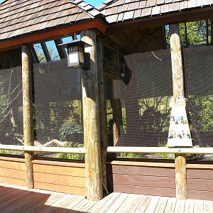 Trail of the Tiger: Birds of Paradise