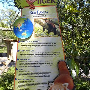 Trail of the Tiger: Red Panda Exhibit