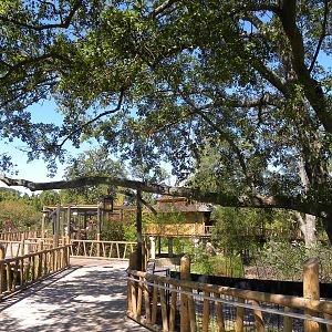 Trail of the Tiger: Red Panda Exhibit