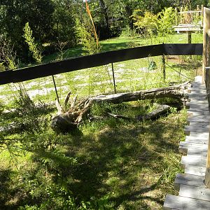 Trail of the Tiger: Red Panda Exhibit