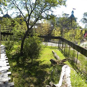 Trail of the Tiger: Red Panda/Demoiselle Crane Exhibit