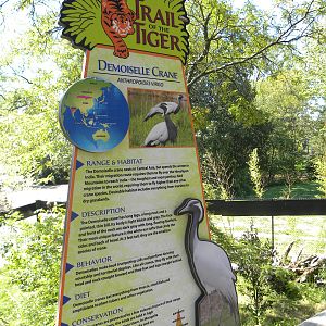Trail of the Tiger: Red Panda/Demoiselle Crane Exhibit