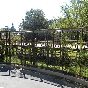 Rhinoceros Hornbill Exhibit