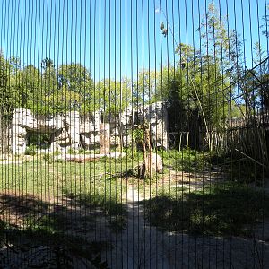 Asiatic Black Bear Exhibit
