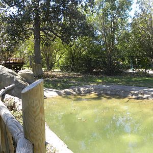 Malayan Tapir Exhibit
