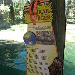 White-Cheeked Gibbon/Small-Clawed Otter Exhibit